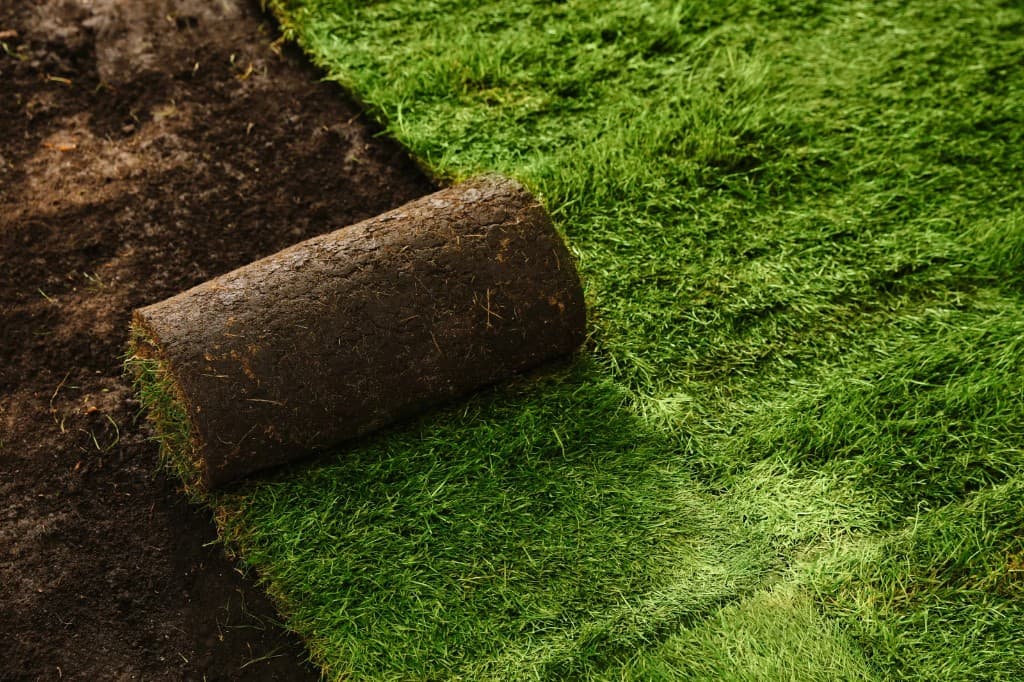Fresh roll of sod being laid over prepared soil
